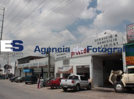 Clausura de línea de reces del rastro municipal - ES imagen agencia de fotografía