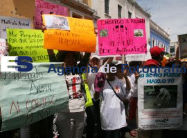 Manifestacion contra maltrato animal  - ES imagen agencia de fotografía
