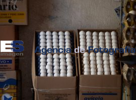 Abarrotes  - ES imagen agencia de fotografía