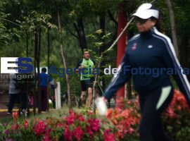 Corredores en el parque ecológico  - ES imagen agencia de fotografía