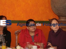 Diputados federales del PRI 2013 - ES imagen agencia de fotografía