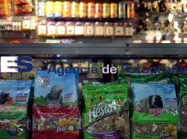 Impuesto a mascotas y alimentos  - ES imagen agencia de fotografía