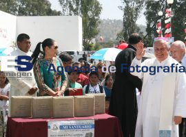 Colocan adoquin en el seminario  - ES imagen agencia de fotografía