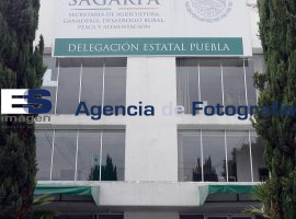 SAGARPA anuncia 33.5 millones en apoyo a cañeros  - ES imagen agencia de fotografía