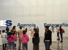 Noches de Muse en el Amparo - ES imagen agencia de fotografía