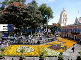 Instalan tapete de flores alusivo al día de muertos, en Atlixco - ES imagen agencia de fotografía