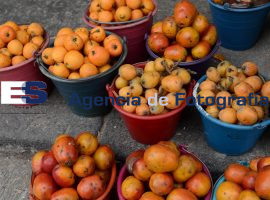 Frutas y mercados para muertos  - ES imagen agencia de fotografía