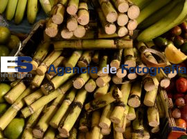 Mercado, oferta a día de muertos  - ES imagen agencia de fotografía