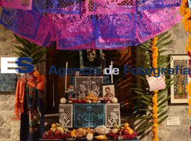 Concurso de ofrendas  - ES imagen agencia de fotografía