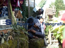 Mercado la Cocota, venta navideña  - ES imagen agencia de fotografía