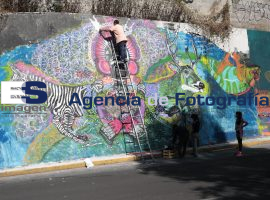 Colectivos pintan Mega Murales Ambientales 2013 - ES imagen agencia de fotografía