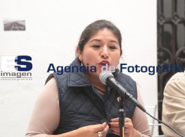 Roxana Luna se inconforma por la Reforma Energética - ES imagen agencia de fotografía