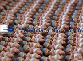 FabricaciÃ³n figura navideÃ±a Santiago AcatlÃ¡n - ES imagen agencia de fotografía