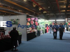 MAGAT 2013 - ES imagen agencia de fotografía