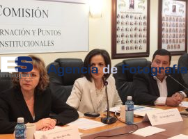 Comisión de gobernación y puntos constitucionales - ES imagen agencia de fotografía
