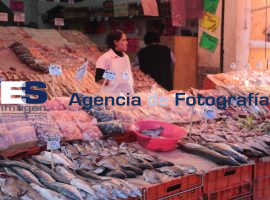 Mercado 5 de mayo - ES imagen agencia de fotografía