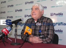 Se recomienda no regalar perros en fechas navideñas - ES imagen agencia de fotografía