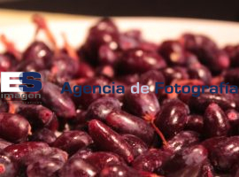 Feria Zapotitlán Salinas - ES imagen agencia de fotografía