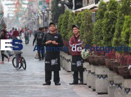 Oficio de servicio en restaurante  - ES imagen agencia de fotografía