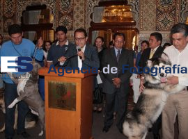 Reforma a la Ley de protección a los animales  - ES imagen agencia de fotografía
