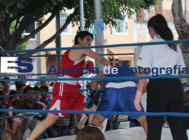 XVI Torneo del boxeo de los barrios - ES imagen agencia de fotografía