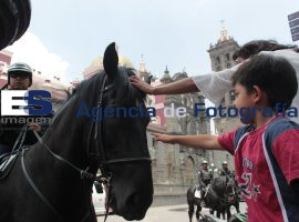 Polícia Montada - ES imagen agencia de fotografía