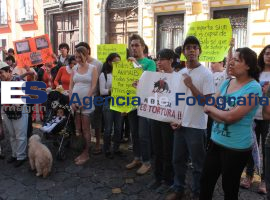Manifestantes  afueras del congreso para castigar el maltrato animal - ES imagen agencia de fotografía