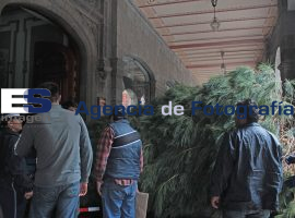 Árbol de Navidad en palacio Municipal - ES imagen agencia de fotografía