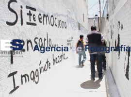 Implementación del programa “Brigada urbana ”  - ES imagen agencia de fotografía