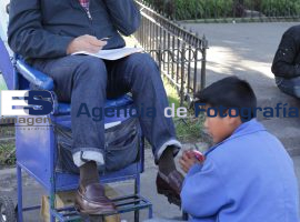 Juan Manuel Vega Rayet zóalo - ES imagen agencia de fotografía