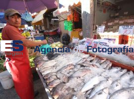 Mercado 5 de Mayo - ES imagen agencia de fotografía