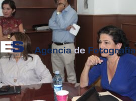 Intala comisión Desarrollo Urbano y medio Ambiente - ES imagen agencia de fotografía