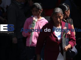 Entrega de Rosas por parte de Ayuntamiento - ES imagen agencia de fotografía