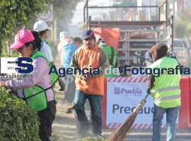 Trabajos de mantenimiento en camellones - ES imagen agencia de fotografía