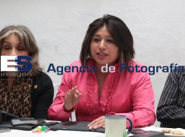 Roxana Luna, diputada federal, en rueda de prensa 2014 - ES imagen agencia de fotografía