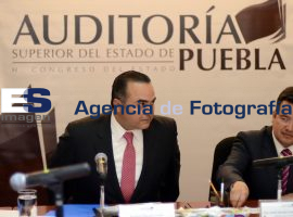 Orfis palomea a Riestra  - ES imagen agencia de fotografía