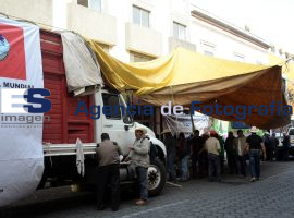 Unta en planton  - ES imagen agencia de fotografía
