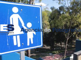 Altos niveles de toxicidad en Río Atoyac podrían provocar cáncer - ES imagen agencia de fotografía