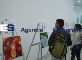 Inauguran la exposición fotográfica “Un paseo por el nanomundo” - ES imagen agencia de fotografía