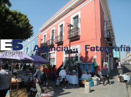 Tianguis de Los Sapos 2014 - ES imagen agencia de fotografía