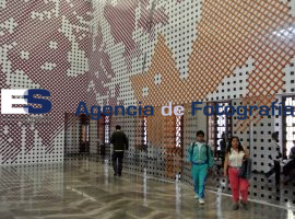 Silveira, muestra en el Amparo  - ES imagen agencia de fotografía