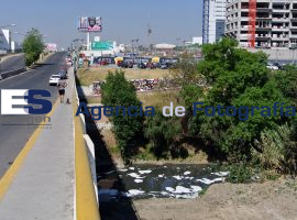 RioAtoyac, espoma  - ES imagen agencia de fotografía