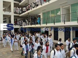 Simulacro de sismo en Medicina  - ES imagen agencia de fotografía
