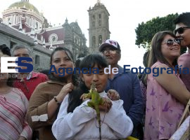 Beso de Fotografía II - ES imagen agencia de fotografía