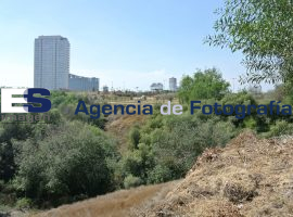 Parque Metropolitano, sede de museo barroco  - ES imagen agencia de fotografía