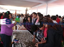 Kermés del amor y la amistad BUAP 2014 - ES imagen agencia de fotografía