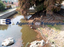 Ahuehuete de Sanata María Acuexcomac - ES imagen agencia de fotografía