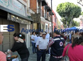 Los sapos, problemas de ordenamiento  - ES imagen agencia de fotografía