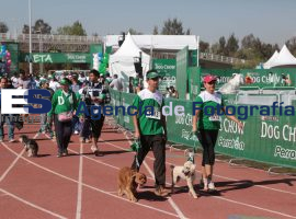 Perrotón 2014 - ES imagen agencia de fotografía