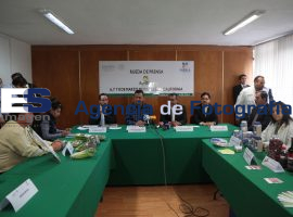 Productores poblanos participaran en el AgroBaja - ES imagen agencia de fotografía
